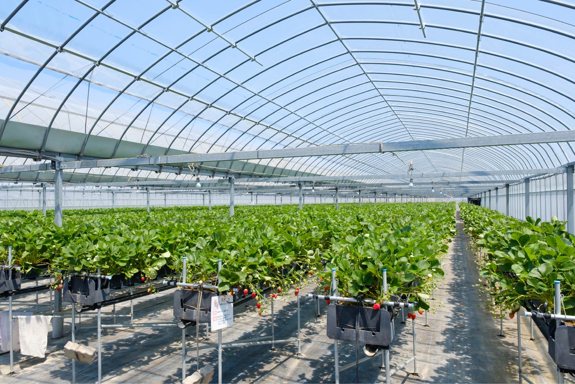 agri_4